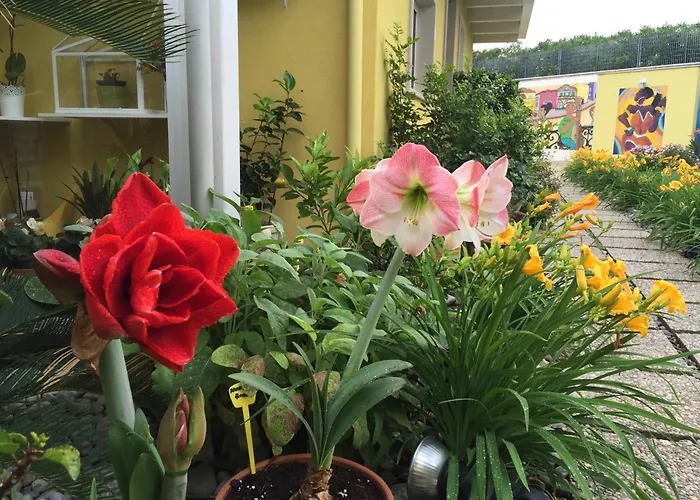Hotel familiare: La Casa (Adults Only)